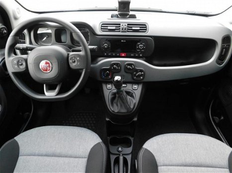 Fiat Panda - 1.2 Lounge *NIEUW* *RIJKLAAR - 1