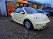 Volkswagen New Beetle Cabriolet - 1.4 / APK BIJ AFLEVERING / LEUKE AUTO / - 1 - Thumbnail