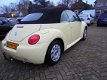 Volkswagen New Beetle Cabriolet - 1.4 / APK BIJ AFLEVERING / LEUKE AUTO / - 1 - Thumbnail