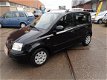 Fiat Panda - 1.2 Edizione Cool - 1 - Thumbnail