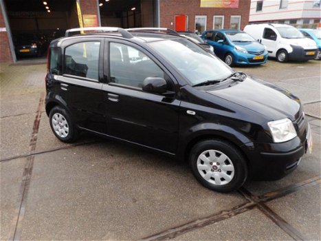 Fiat Panda - 1.2 Edizione Cool - 1