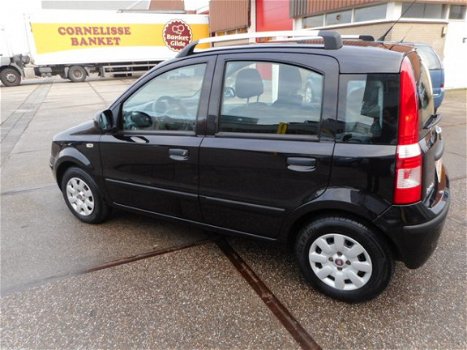 Fiat Panda - 1.2 Edizione Cool - 1