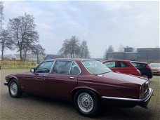 Jaguar Sovereign - 5.3 V12 Sovereign