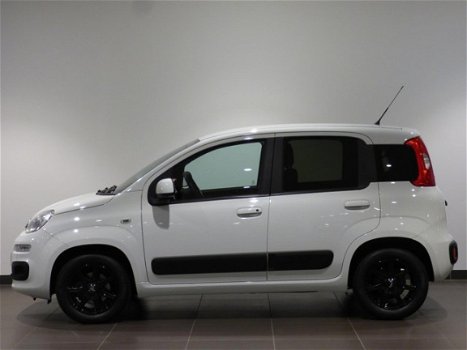 Fiat Panda - LOUNGE 1.2 70pk 4-CIL. | AIRCO | P.HULP | CLIMA | LM-VELGEN - 1