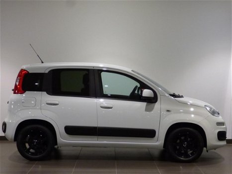 Fiat Panda - LOUNGE 1.2 70pk 4-CIL. | AIRCO | P.HULP | CLIMA | LM-VELGEN - 1