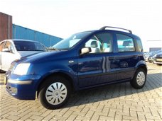 Fiat Panda - 1.2 Dynamic