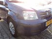 Fiat Panda - 1.2 Dynamic - 1 - Thumbnail