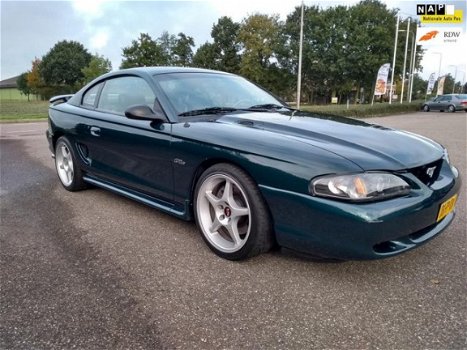 Ford Mustang - Cobra Shelby V8 Veel Power Uniek in NL Ultimate Sleeper car Nette staat - 1