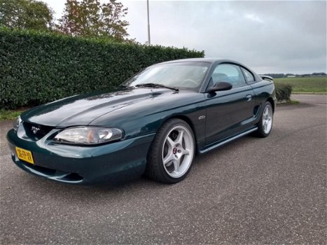 Ford Mustang - Cobra Shelby V8 Veel Power Uniek in NL Ultimate Sleeper car Nette staat - 1