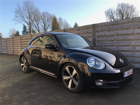 Volkswagen new beetle 1.6 TDI 105pk - 1