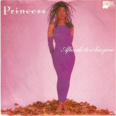 singel Princess - After the love has gone / instrumental