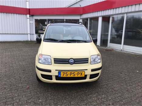 Fiat Panda - 1.2 Emotion - 1