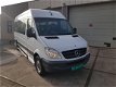 Mercedes-Benz Sprinter - 313 2.2 CDI 432 HD rolstoel Tribus EURO 5 - 1 - Thumbnail