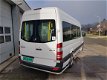 Mercedes-Benz Sprinter - 313 2.2 CDI 432 HD rolstoel Tribus EURO 5 - 1 - Thumbnail