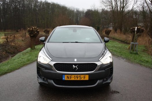 DS 5 - 5 2.0 BlueHDi Business Executive Navigatie / Climate contr. / Cruise Contr. / Panorama dak - 1