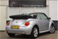 Volkswagen New Beetle Cabriolet - 1.6 Turijn Comfort - 1 - Thumbnail