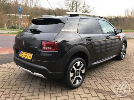 Citroën C4 Cactus - PureTech 110pk S&S RIP CURL - 1