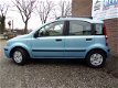 Fiat Panda - 1.2 Dynamic - 1 - Thumbnail