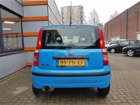 Fiat Panda - 1.2 Dynamic - 1