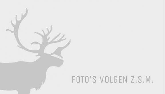 Volvo V50 - 2.0 145pk Momentum | Rijklaarprijs - 1