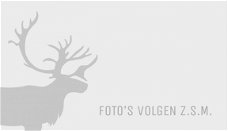 Volvo V50 - 2.0 145pk Momentum | Rijklaarprijs