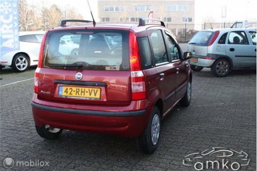 Fiat Panda - 1.2 Dynamic / APK / ELEK. RAMEN / ENZ - 1