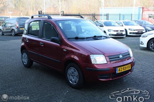 Fiat Panda - 1.2 Dynamic / APK / ELEK. RAMEN / ENZ - 1