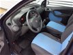 Fiat Panda - 1.2 Edizione Cool - 1 - Thumbnail