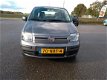 Fiat Panda - 1.2 Active 1e eigenaar Dealer onderhouden APK tot 08-2020 - 1 - Thumbnail