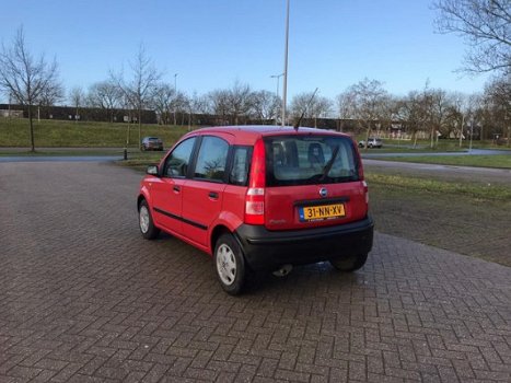 Fiat Panda - 1.1 Active Plus Nieuwe APK | NAP - 1