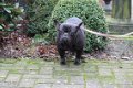 franse bulldog vrouwtje zoekt nieuwe thuis - 5 - Thumbnail