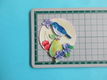j49 Jeanine 3d plaatje / vogel / fruit - 0 - Thumbnail