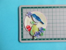 j49 Jeanine 3d plaatje / vogel / fruit
