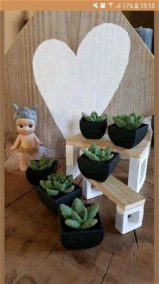 Cactus in pot voor modern poppenhuis