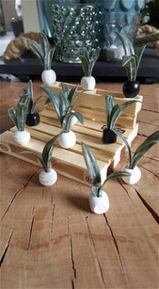 Mini plantjes voor modern poppenhuis