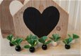 Mini plantjes voor het moderne poppenhuis - 1 - Thumbnail