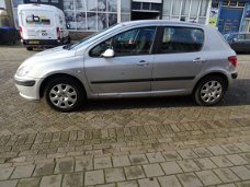 Peugeot 307 - 1.6-16V XS /5drs/Airco/El Ramen