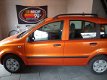Fiat Panda - 1.2 Edizione Cool Airco Dealer onderhouden - 1 - Thumbnail