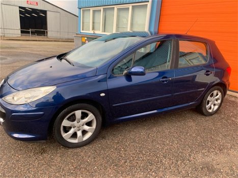 Peugeot 307 - 1.6-16V XS Nap - 1