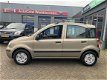 Fiat Panda - 1.2 Edizione Cool /2E EIG/5-DRS/AIRCO/AUTOMAAT - 1 - Thumbnail