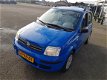 Fiat Panda - 1.2 Dynamic prijs incl. onderhoudsbeurt en APK - 1 - Thumbnail