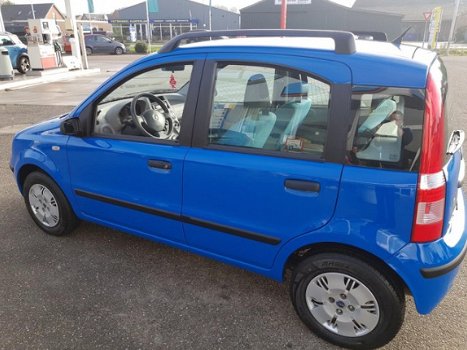 Fiat Panda - 1.2 Dynamic prijs incl. onderhoudsbeurt en APK - 1