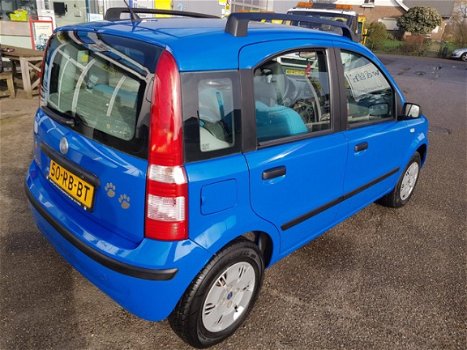 Fiat Panda - 1.2 Dynamic prijs incl. onderhoudsbeurt en APK - 1