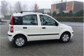 Fiat Panda - 1.2 Edizione Cool Airco, panoramadak, 65250 km - 1 - Thumbnail