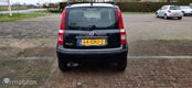 Fiat Panda - 1.2 AUTOMAAT - 1 - Thumbnail