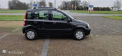 Fiat Panda - 1.2 AUTOMAAT - 1 - Thumbnail