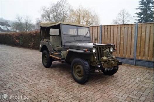 Willys Jeep - M38 cdn Militairy Jeep excellent condition - 1