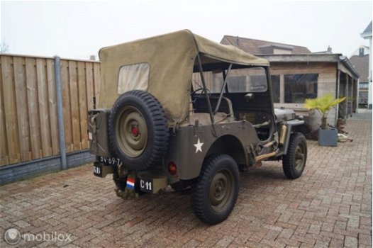 Willys Jeep - M38 cdn Militairy Jeep excellent condition - 1