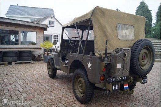 Willys Jeep - M38 cdn Militairy Jeep excellent condition - 1