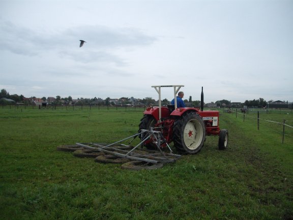 Ecologisch grasland/ weidegang voor blessurepaarden- rustperiode - Afbeelding 7